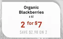 Standard Market Organic Blackberries offer