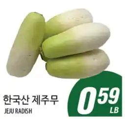 Joong Boo Market JEJU RADISH offer