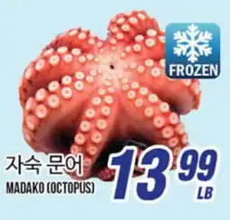 Joong Boo Market MADAKO (OCTOPUS) offer