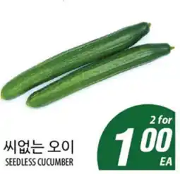 Joong Boo Market _seedless_cucumber offer