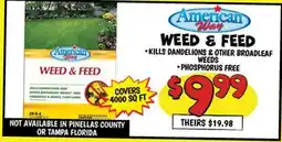 Ollie's American Way WEED & FEED offer