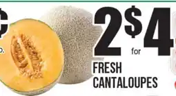 Extra Supermarket FRESH CANTALOUPES offer