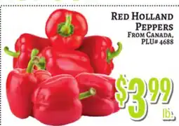 Trade Fair Supermarket Red Holland Peppers offer