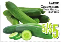 Trade Fair Supermarket LARGE CUCUMBERS offer