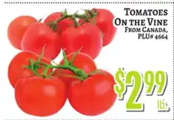 Trade Fair Supermarket TOMATOES ON THE VINE offer