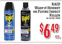 Trade Fair Supermarket RAID Wasp & Hornet OR Flying Insect Killer offer