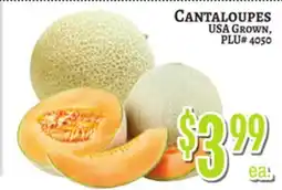 Trade Fair Supermarket CANTALOUPES offer
