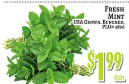Trade Fair Supermarket FRESH MINT offer