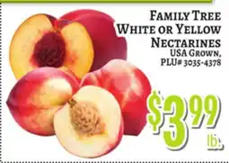 Trade Fair Supermarket FAMILY TREE WHITE OR YELLOW NECTARINES offer