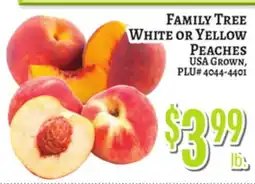 Trade Fair Supermarket FAMILY TREE WHITE OR YELLOW PEACHES offer