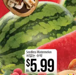 Hmart Seedless Watermelon offer