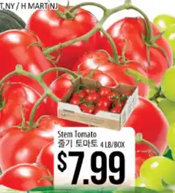 Hmart Stem Tomato offer