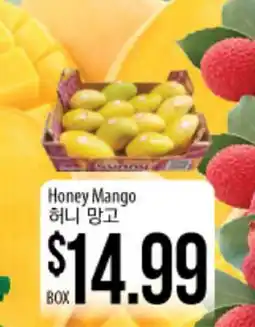 Hmart Honey Mango offer