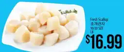 Hmart Fresh Scallop offer