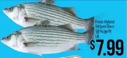 Hmart Fresh Hybrid Striped Bass offer