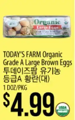 Hmart TODAY'S FARM Organic Grade A Large Brown Eggs offer