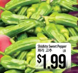 Hmart Shishito Sweet Pepper offer