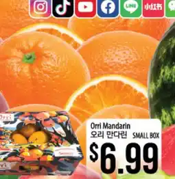 Hmart Orri Mandarin offer
