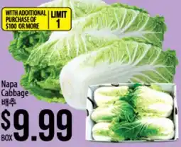 Hmart Napa Cabbage offer