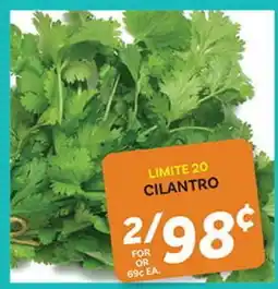 El Paso Grande CILANTRO offer