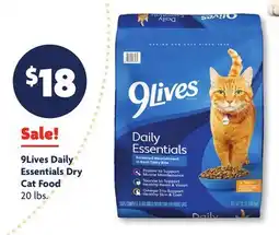 Family Dollar 9Lives Daily Essentials Dry Cat Food offer