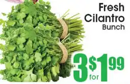Supremo Foods Inc Fresh Cilantro Bunch offer