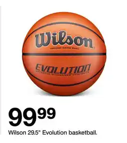 Target Wilson 29.5 Evolution basketball offer