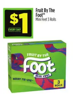 Dollar General Fruit By The Foot Mini Feet offer