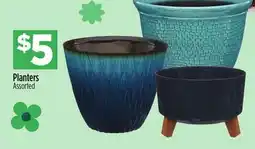 Dollar General Planters offer