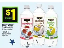 Dollar General Clover Valley Sparkling Water offer