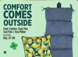 Dollar General Chair Cushion, Chair Pad, Seat Pad or Toss Pillow offer