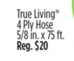 Dollar General True Living 4 Ply Hose offer