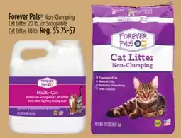 Dollar General Forever Pals Non-Clumping Cat Litter 20 lb. or Scoopable Cat Litter 10 lb offer