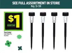 Dollar General True Living Solar Stakes offer