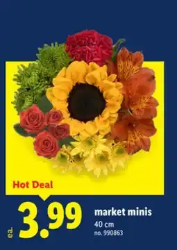 Lidl market minis offer