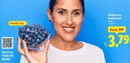 Lidl blueberries, family pack offer