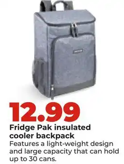 Hy-Vee Fridge Pak insulated cooler backpack offer