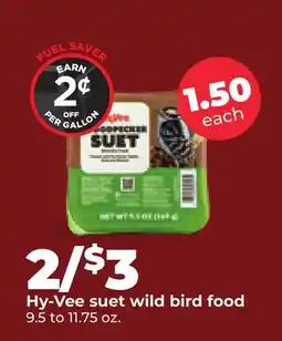 Hy-Vee Hy-Vee suet wild bird food offer
