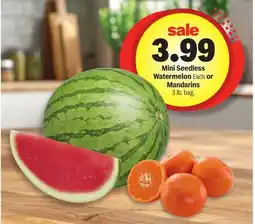 Meijer Mini Seedless Watermelon Each Or Mandarins offer