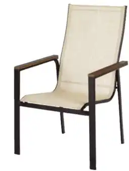 Ace Hardware Steel Frame Sling Chair offer