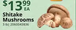Restaurant Depot Shitake Mushrooms offer