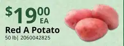 Restaurant Depot Red A Potato offer