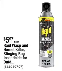The Home Depot Raid Wasp and Hornet Killer, Stinging Bug Insecticide for Outdoor Use, Insect Killer, 17.5 oz offer