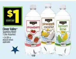 Dollar General Clover Valley offer