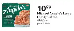 Publix Michael Angelo's Large Family Entree offer