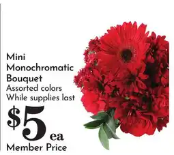 Pavilions Mini Monochromatic Bouquet offer