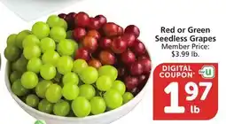 Albertsons Red or Green Seedless Grapes offer