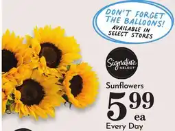 Pavilions Sunflowers offer