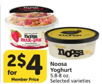 Albertsons Noosa Yoghurt offer