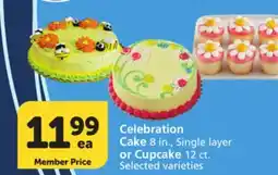 Albertsons Celebration Cake 8 in., Single layer or Cupcake 12 ct offer
